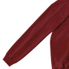 ZIP HOODIE burgundy image