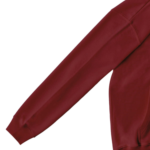 ZIP HOODIE burgundy image