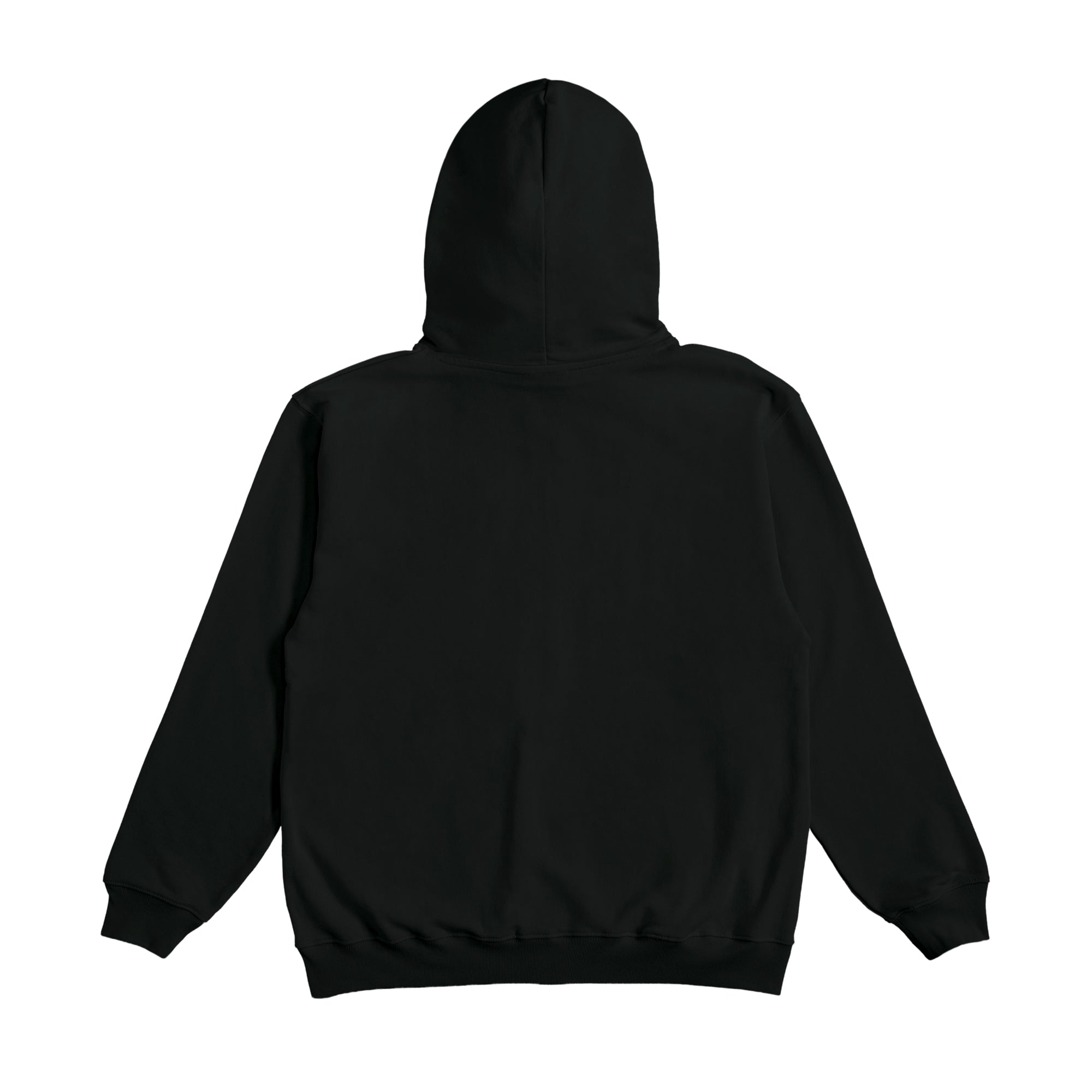 ZIP HOODIE black image