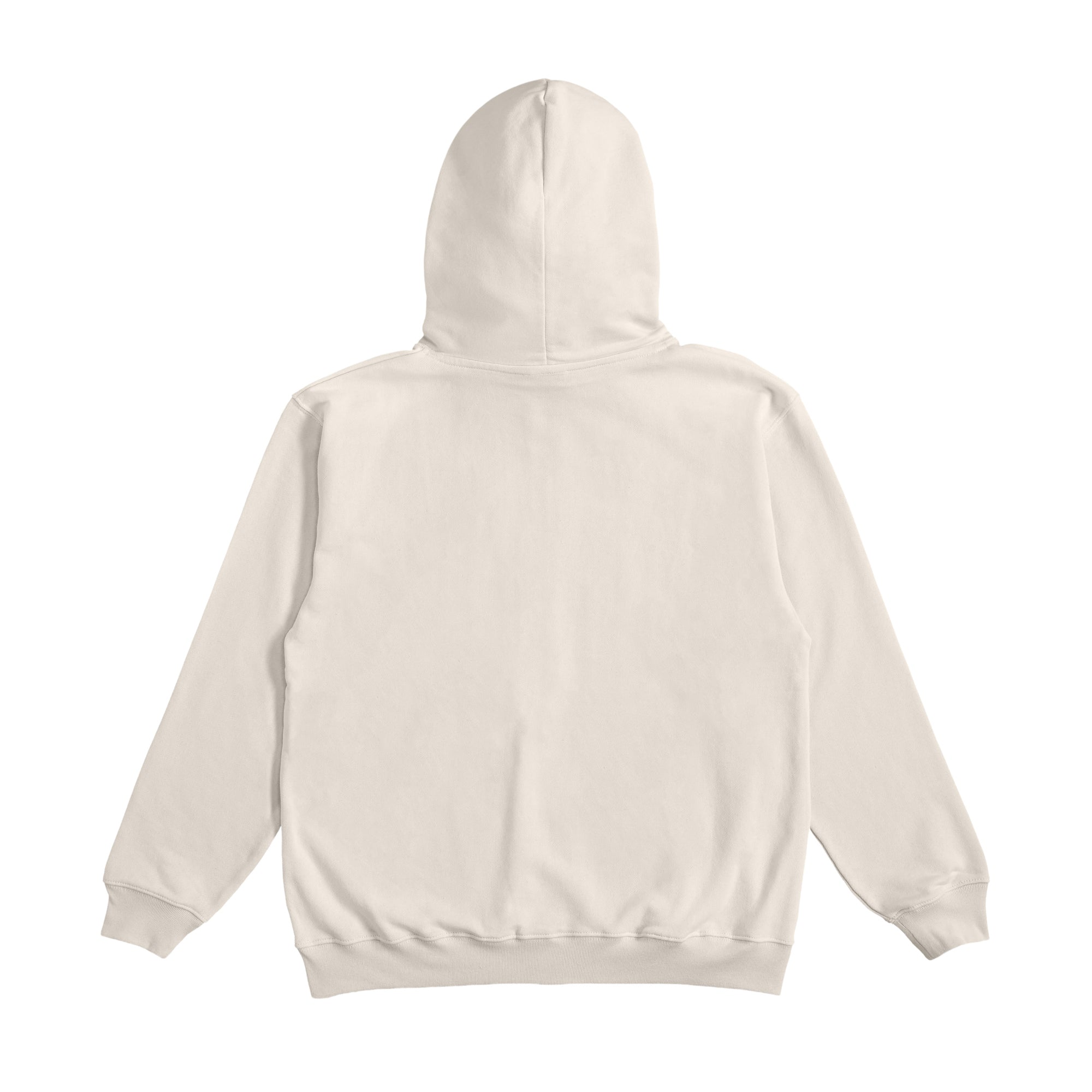 ZIP HOODIE greige image