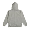 ZIP HOODIE gray image