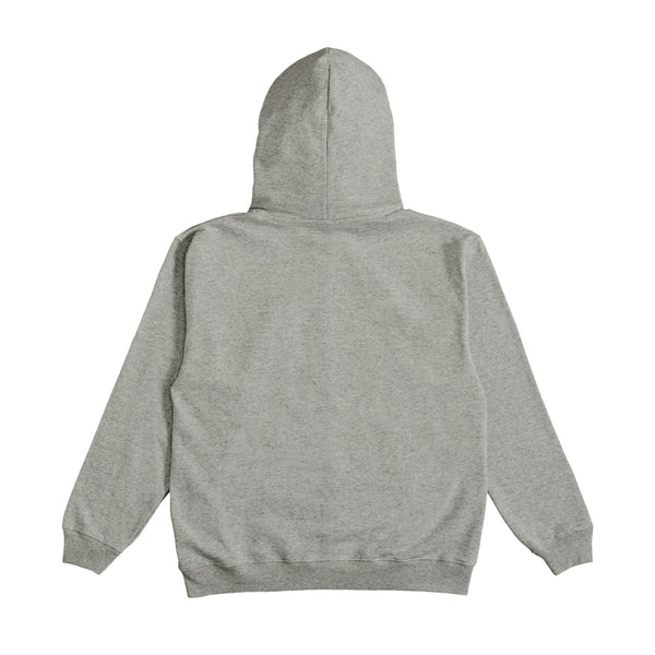 ZIP HOODIE gray image