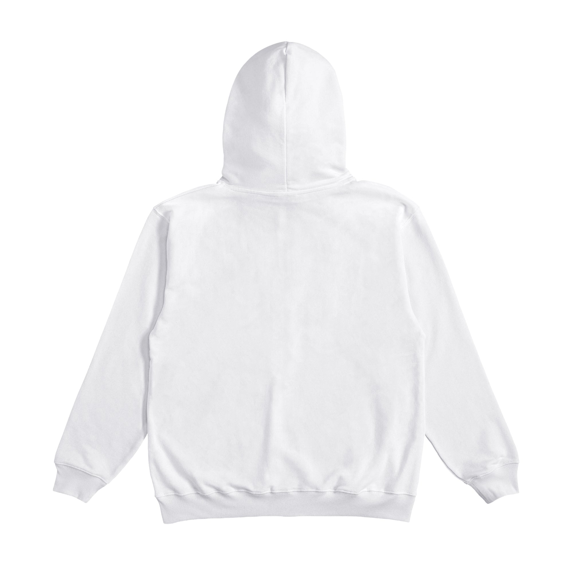 ZIP HOODIE white image