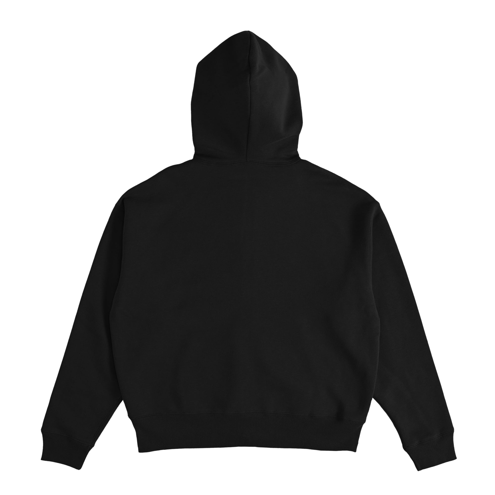 FLEECE LINED HOODIE black image
