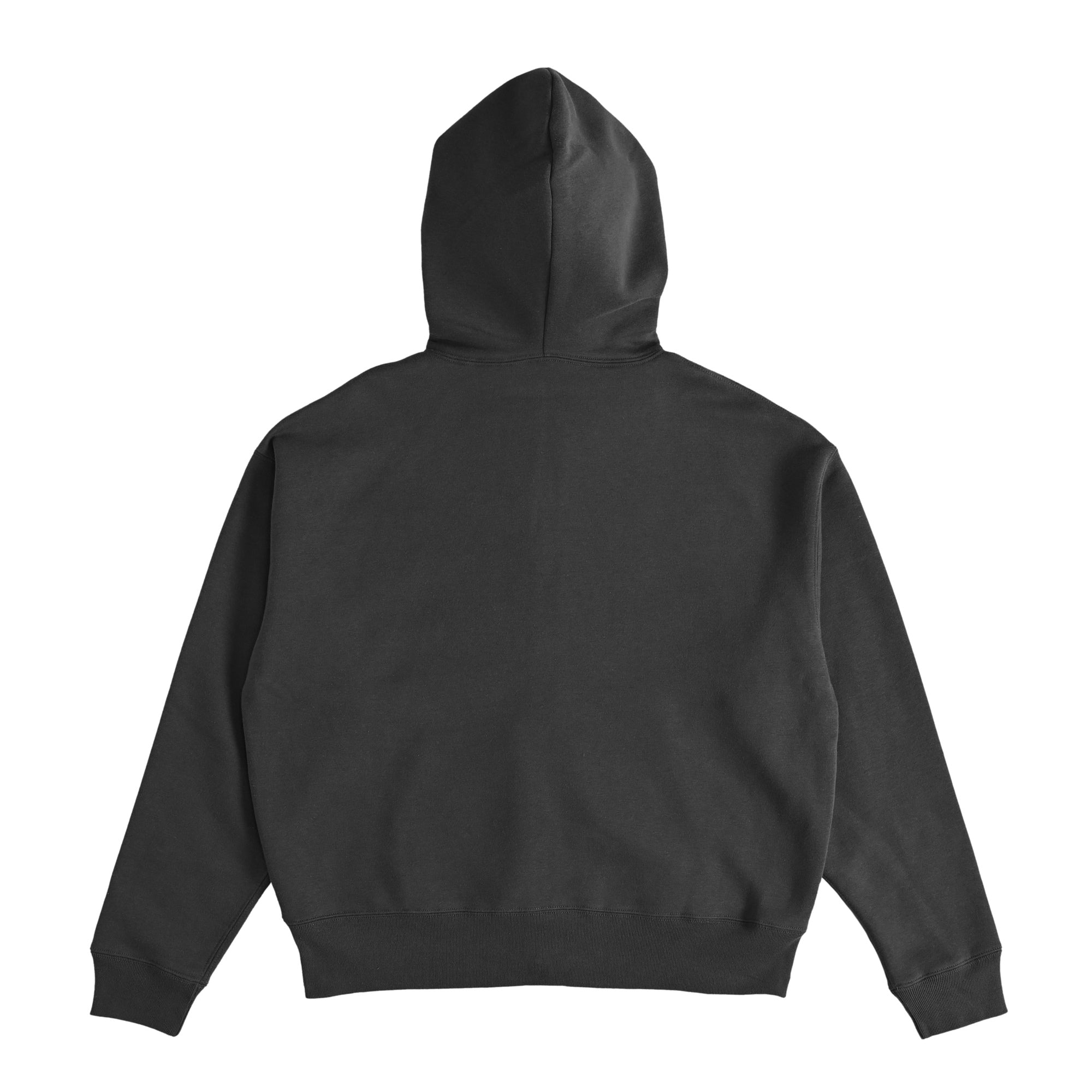 FLEECE LINED HOODIE sumi-black image