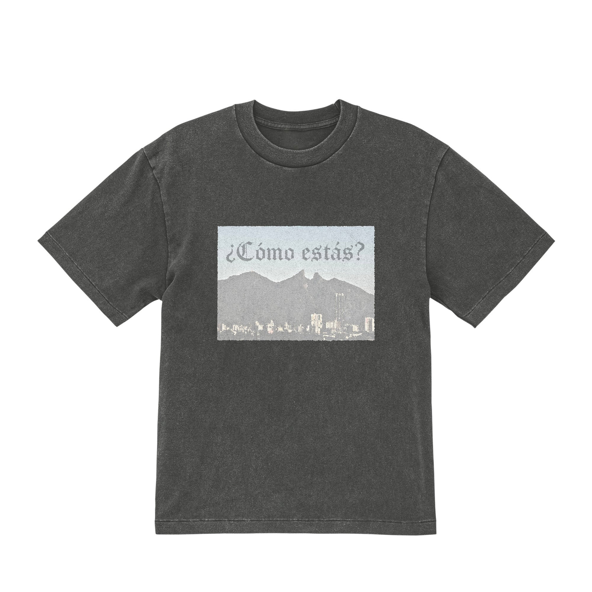 Washed T-shirt fade-gray image