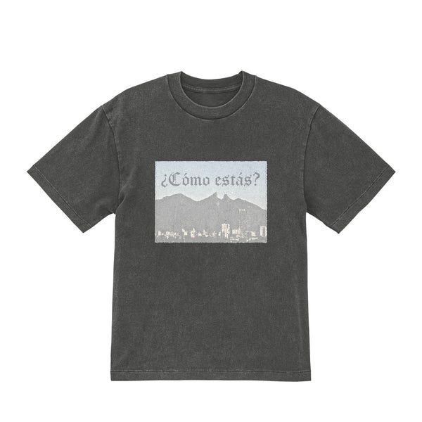 Washed T-shirt fade-gray image